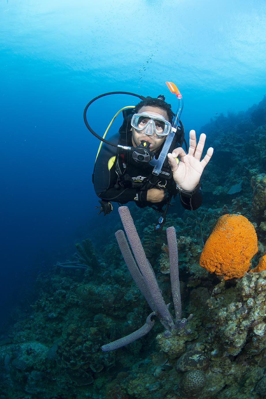 Курс PADI AOWD — Дайвинг на Бали с русским инструктором