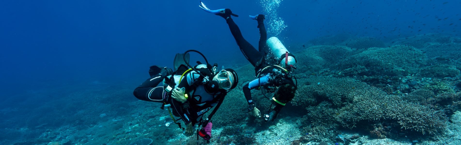 cropped-divers-underwater.jpg